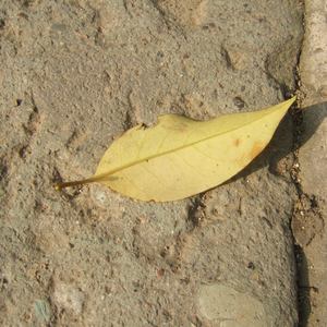 ova偶像女友堕落第2季免费观看
