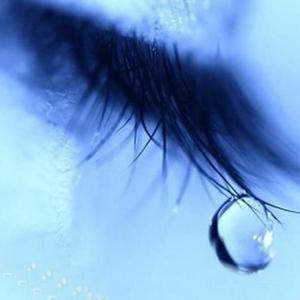 ova偶像女友堕落第2季免费观看
